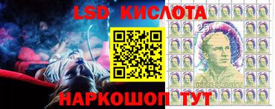спиды Краснознаменск