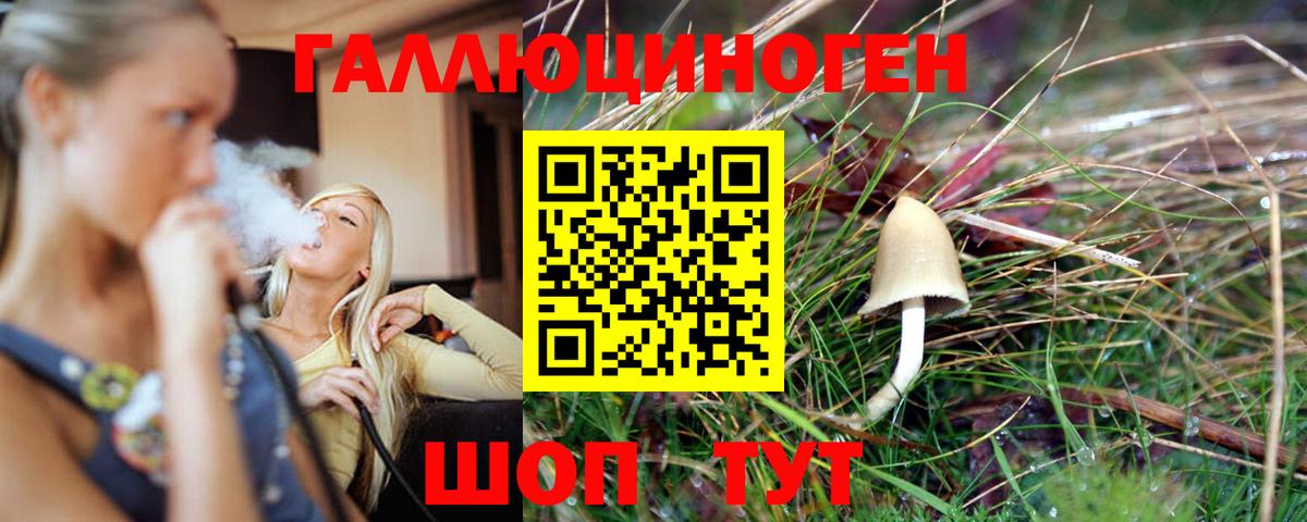 Галлюциногенные грибы Psilocybine cubensis  купить наркотик  Кинель  Вход с VPN 